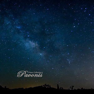 国产精品va免费视频
