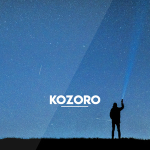 国产精品va免费视频
