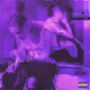 国产精品va免费视频
