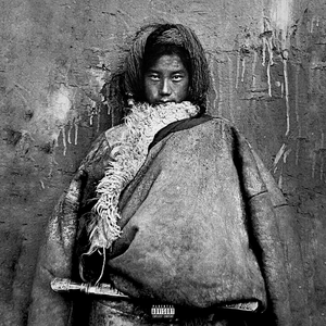 国产精品va免费视频
