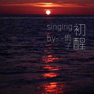 国产精品va免费视频
