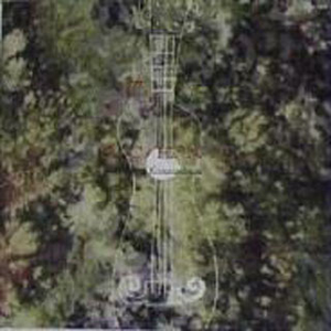 国产精品va免费视频
