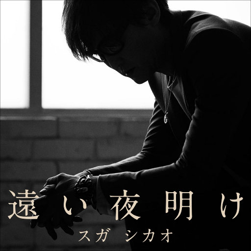 国产精品va免费视频
