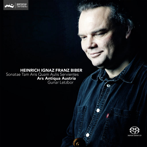 国产精品va免费视频
